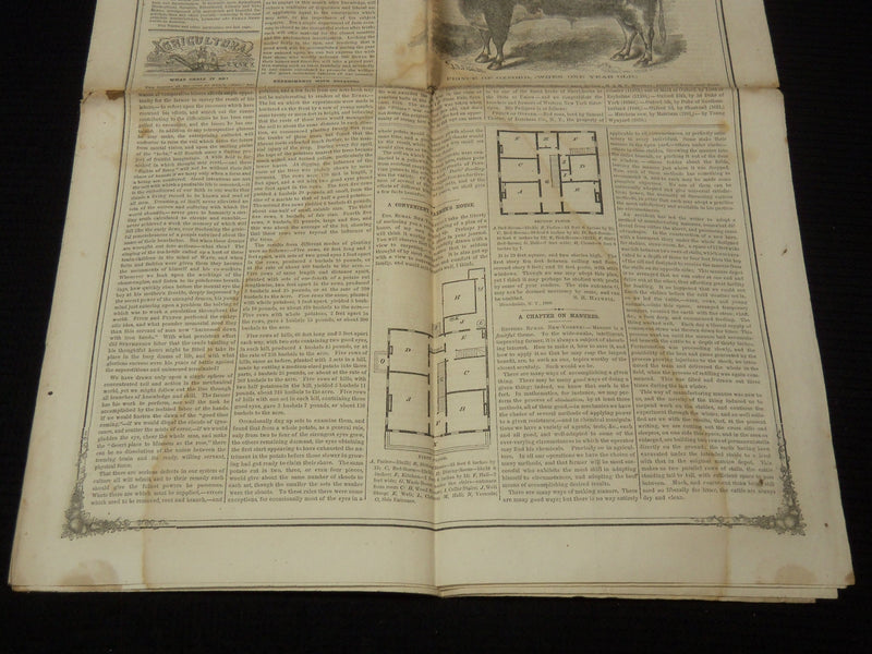 1860 MOORE'S RURAL NEW YORKER NEWSPAPER LOT OF 2 ISSUES - ROCHESTER NY - NP 8964