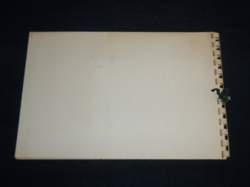 1960 THE ALMA CALENDAR BY ALFRED MAINZER - NEW YORK THE WONDER CITY - J 8647