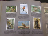 1930'S RICH'S SERIE FRA MARK OG SKOV ANIMAL TOBACCO CARDS ALBUM DANISH - KD 3185