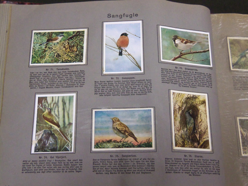 1930'S RICH'S SERIE FRA MARK OG SKOV ANIMAL TOBACCO CARDS ALBUM DANISH - KD 3185