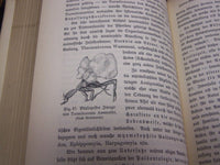 1871-1912 STIMMEN AUS MARIA-LAACH KATHOLISCHE GERMAN VOLUME LOT OF 23 - KD 38
