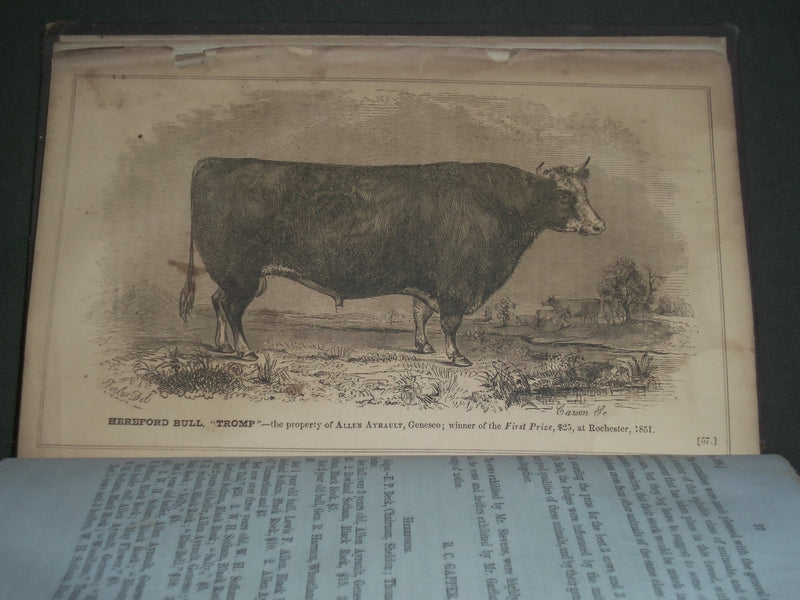 1851 NEW YORK STATE AGRICULTURAL SOCIETY PROCEEDINGS VOLUME NO. 11 - KD 4549
