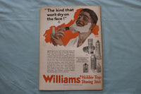1919 AUGUST 9 THE LITERARY DIGEST MAGAZINE - THE PICNIC COVER - E 26619
