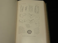1901-1921 NEW YORK BOTANICAL GARDEN BULLETIN BOUND VOLUME LOT OF 9 - KD 5K