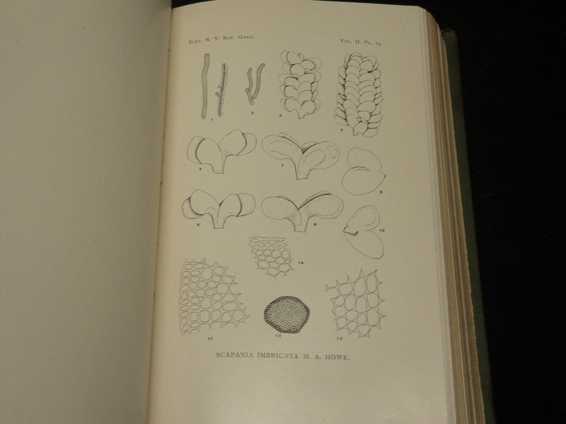 1901-1921 NEW YORK BOTANICAL GARDEN BULLETIN BOUND VOLUME LOT OF 9 - KD 5K