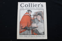 1919 DECEMBER 13 COLLIER'S MAGAZINE - A WOMAN WITH BIRDCAGE COVER - E 10964