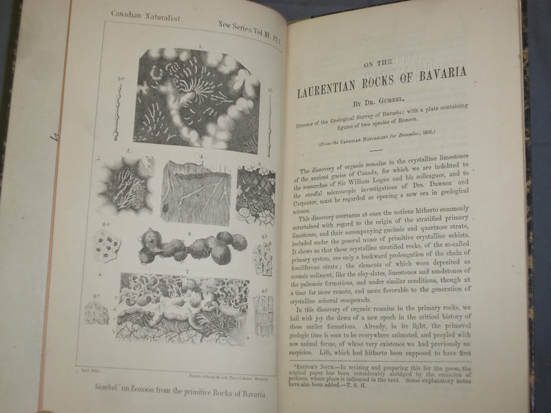 1866 ON THE LAURENTIAN ROCKS OF BAVARIA BY DR. GUMBEL - J 4873