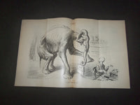 1919 MAY 22 LIFE MAGAZINE - TAKING A CHANCE - L 769D
