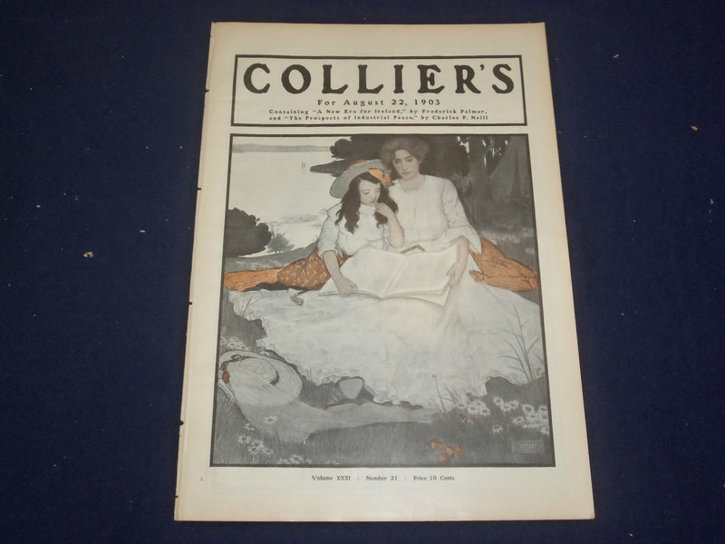 1903 AUGUST 22 COLLIER'S MAGAZINE - NEW ERA FOR IRELAND BY F. PALMER - ST 6676