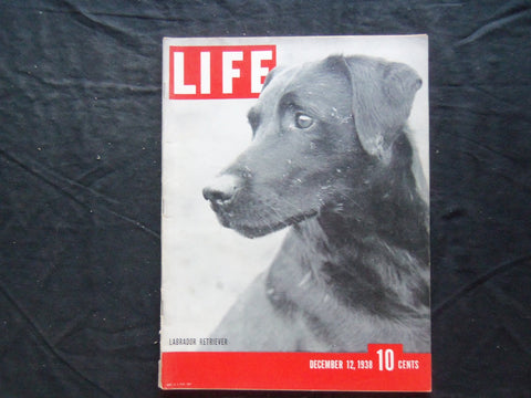 1938 DECEMBER 12 LIFE MAGAZINE - LABARADOR RETRIEVER - L 108