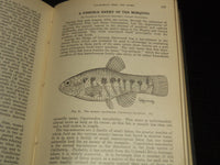 1914-1929 CALIFORNIA FISH AND GAME MAGAZINE BOUND VOLUME LOT OF 14 - KD 1A