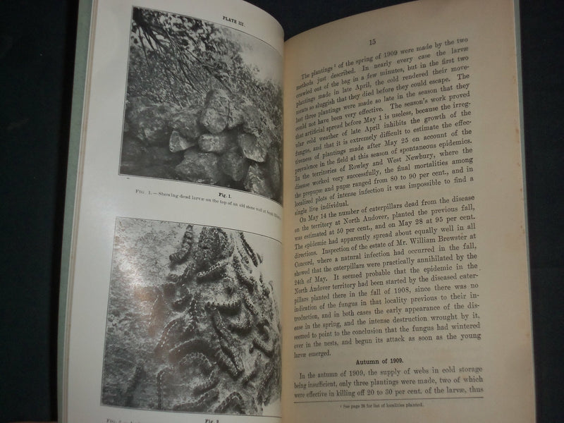 1912 THE ARTIFICIAL USE OF THE BROWN-TAIL FUNGUS OF MASSACHUSETTS- PLATES-J 4385