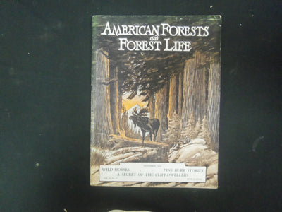 1924 NOVEMBER AMERICAN FORESTS & FOREST LIFE MAGAZINE - ST 4608
