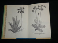 1986 ASIATIC PRIMULAS HARDCOVER BOOK BY ROY GREEN - KD 7121