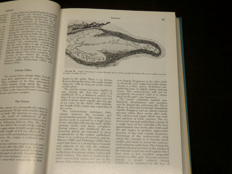 1969 THE GYNECOLOGY OF CHILDHOOD AND ADOLESCENCE BOOK BY HUFFMANN - KD 6137