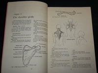 1961 KRANZ MANUAL OF KINESIOLOGY BOOK BY CLEM W. THOMPSON - 4TH EDITION - J 6839