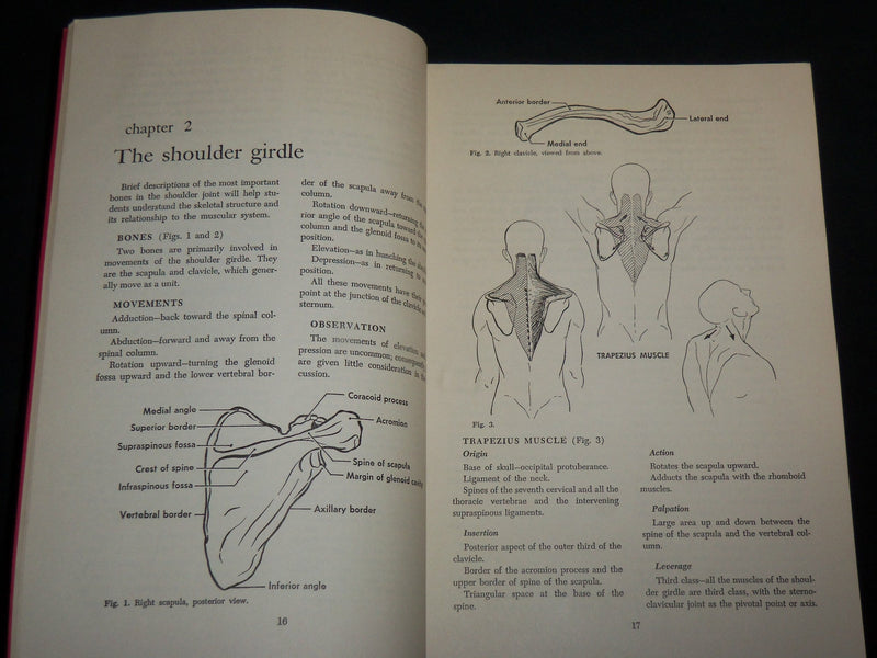 1961 KRANZ MANUAL OF KINESIOLOGY BOOK BY CLEM W. THOMPSON - 4TH EDITION - J 6839