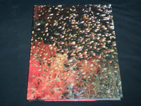 2008 DEEP BLUE UNDERWATER PHOTOGRAPHY OF YASUAKI KAGII HARDCOVER BOOK - R 707X