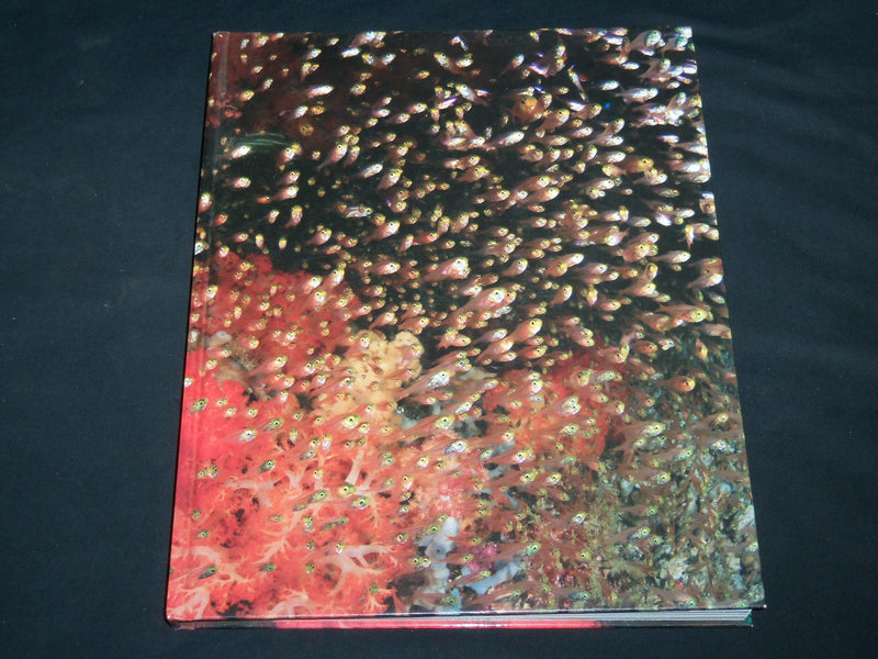 2008 DEEP BLUE UNDERWATER PHOTOGRAPHY OF YASUAKI KAGII HARDCOVER BOOK - R 707X