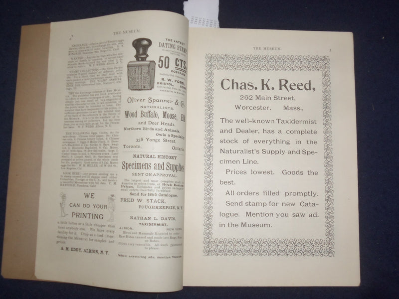 1894 NOV & DEC THE MUSEUM MAGAZINE - ISSUES #1 AND #2 - LOT OF 2 - J 9775