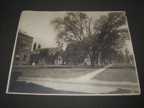 EARLY 1900'S YALE UNIVERSITY 16