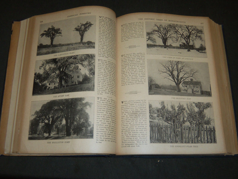 1920 JAN-DEC AMERICAN FORESTRY MAGAZINE BOUND VOLUME - COVERS & ADS - R 400