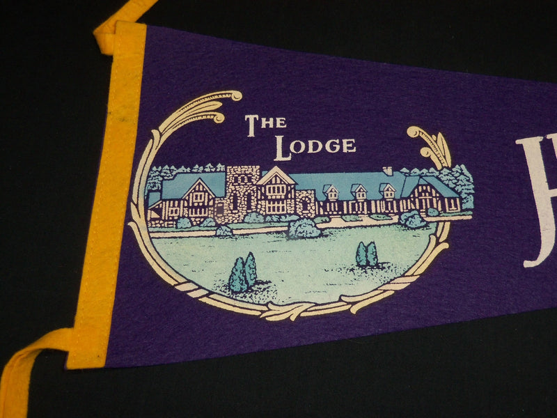 1960'S ASSORTED WALL PENNANTS LOT OF 3 - THOMAS COLLEGE - HOWE CAVERNS - SEAWAY