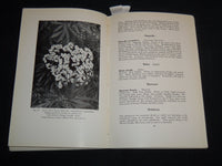 1940 TREES OF SANTA BARBARA DESCRIBED AND LOCATED BOOK BY RENSSELAER - J 8747