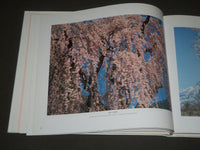 1987 CHERRY BLOSSOMS BY MAGOICHI KUSHIDA HARDCOVER BOOK - I 1144