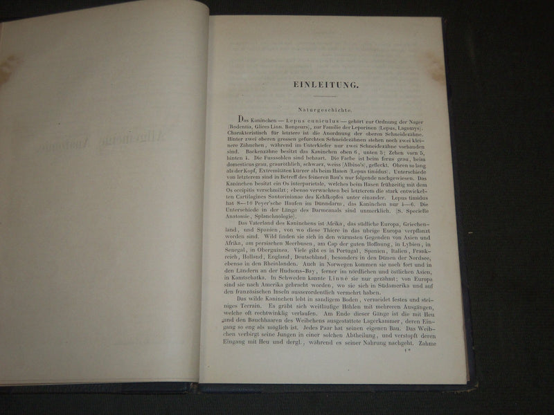 1868 DIE ANATOMIE DES KANINCHENS BY DR. W. KRAUSE GERAMN VOLUME - KD 39
