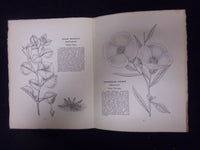 1930 FEBRUARY HARDY AND HALF-HARDY PLANTS MAGAZINE - LOT OF 2 - ST 3270