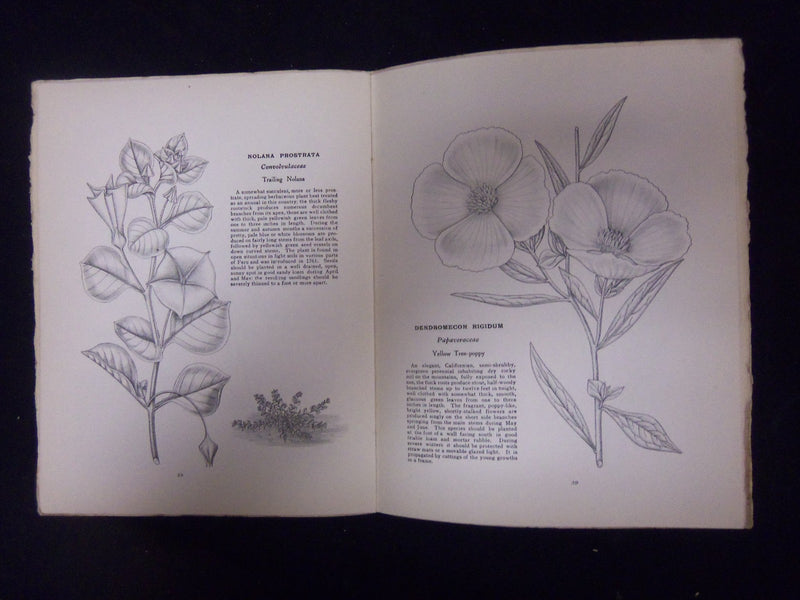 1930 FEBRUARY HARDY AND HALF-HARDY PLANTS MAGAZINE - LOT OF 2 - ST 3270