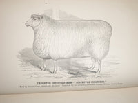 1869-1874 CONNECTICUT BOARD OF AGRICULTURE BOUND VOLUME LOT OF 2 - KD 2993