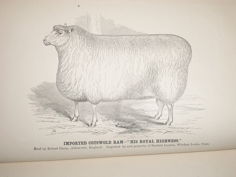 1869-1874 CONNECTICUT BOARD OF AGRICULTURE BOUND VOLUME LOT OF 2 - KD 2993