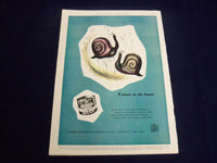 1950 OCTOBER 7 ILLUSTRATED LONDON NEWS MAGAZINE - CRESWELL COLLIERY - E 8151