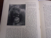 1932 JUNE NATIONAL BOARD OF REVIEW MAGAZINE - GRETA GARBO COVER - K 1141