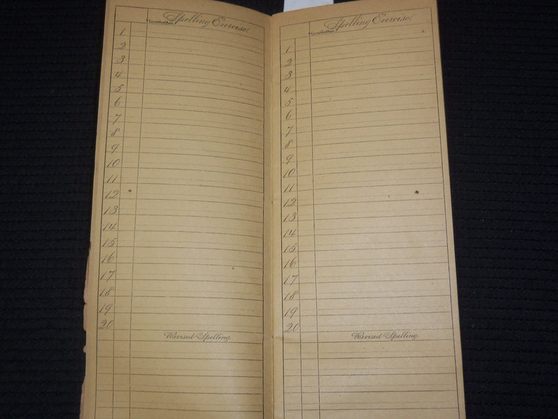 1882 THE EXCELSIOR SPELLING BLANK BOOKLET PUBLISHED BY D. H. KNOWLTON - K 2600