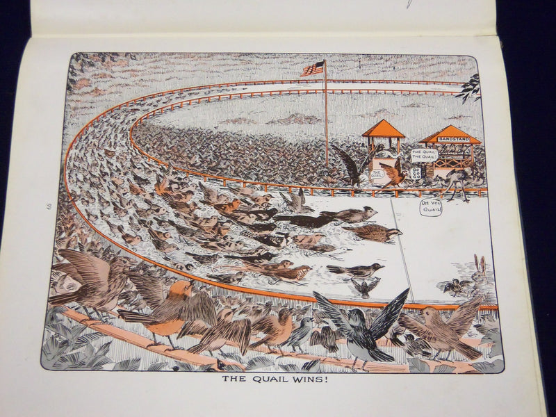 1924 THE BIRD FOOT-RACE IN FOLLIES BY ROBERT SAMIS BOOK - NICE ILLUS. - KD 1495