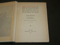 1903 BIRD NEIGHBORS HARDCOVER BOOK BY NELTJE BLANCHAN - NICE PLATES - KD 6254