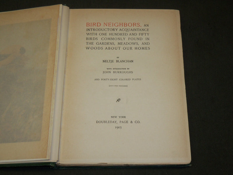 1903 BIRD NEIGHBORS HARDCOVER BOOK BY NELTJE BLANCHAN - NICE PLATES - KD 6254