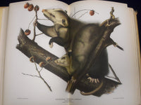 1940 AUDUBON'S AMERICA BOOK EDITED BY DONALD PEATTIE W/ ILLUSTRATIONS - KD 2990