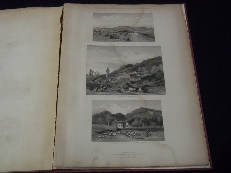 1847 PICTORIAL ILLUSTRATIONS OF NEW ZEALAND VOLUME - S. C. BREES - Z 246