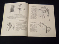 1965-1967 U. S. DEPT OF THE INTERIOR PLANTS PUBLICATIONS LOT OF 2 - K 2089