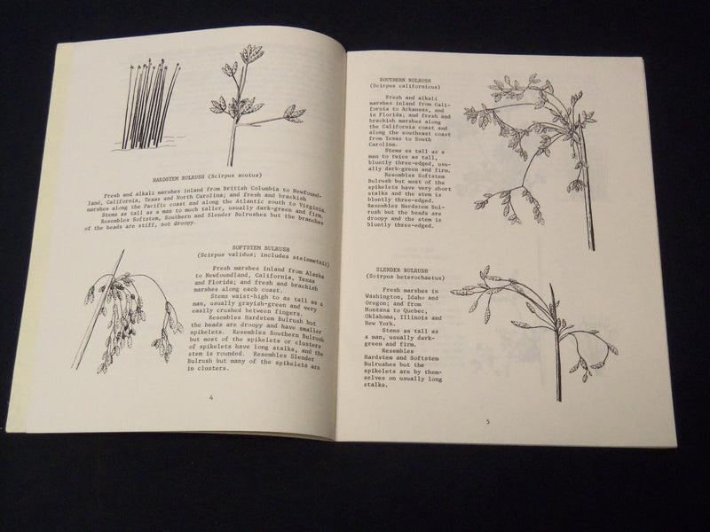 1965-1967 U. S. DEPT OF THE INTERIOR PLANTS PUBLICATIONS LOT OF 2 - K 2089