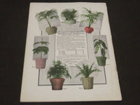 1906 JANUARY THE HOUSE BEAUTIFUL MAGAZINE - GREAT PHOTOS & ADS - ST 380