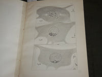 1915 ELECTRIC MOTOR NERVE CELL IN TORPEDOES BOOK BY ULRIC DAHLGREN - J 7115