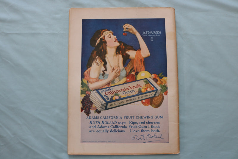 1919 JULY 12 THE LITERARY DIGEST MAGAZINE - THE WARRIOR'S RETURN COVER - E 26617