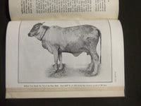 1925 REVIEW OF AGRICULTURE OPERATIONS IN INDIA 1923-1924 BOOK - PHOTOS - KD 4209