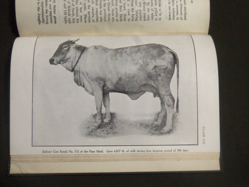 1925 REVIEW OF AGRICULTURE OPERATIONS IN INDIA 1923-1924 BOOK - PHOTOS - KD 4209