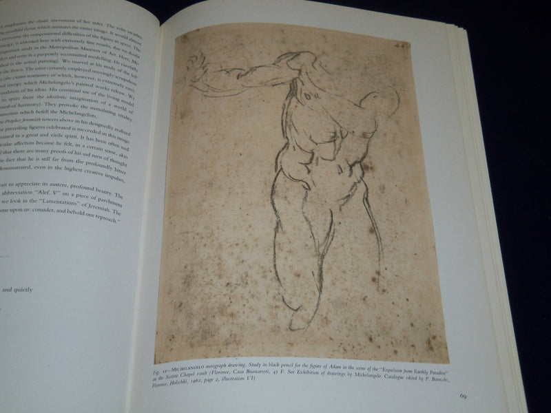 1964 MICHELANGELO THE PAINTER HARDCOVER BOOK BY VALERIO MARIANI - I 28